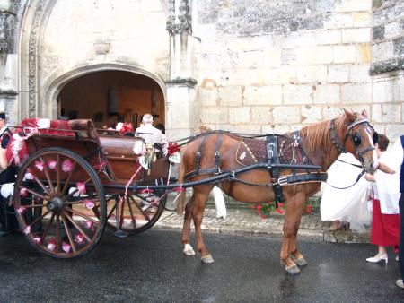 Voici Pricesse et sa calèche
